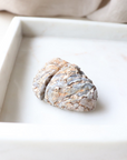 Agate Geode (80g)