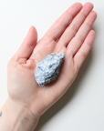 Mini Kyanite Raw Crystal (69g) - Alignment & Clarity