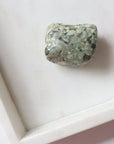 Rainforest Jasper Tumble 78g - Growth & Connection