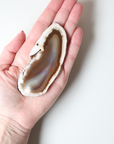 Agate Slice with Brown Natural Tones 50g