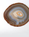 Brown Agate Slice with Subtle Blue Hues (290g)