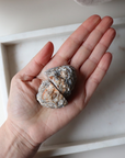 Agate Geode (80g)