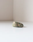 Rainforest Jasper Tumble 49g - Growth & Connection