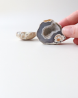 Grey Agate Geode with Sparkling Cave (68g) - Balance & Stability