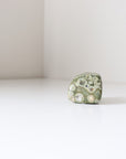 Rainforest Jasper Tumble 67g - Growth & Connection
