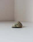 Rainforest Jasper Tumble 55g - Growth & Connection