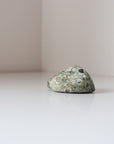 Rainforest Jasper Tumble 69g - Growth & Connection