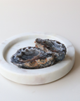 Agate Geode (45g) - Balance & Stability