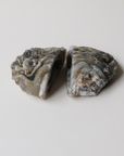 Agate Geode (65g) - Balance & Stability