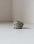 Rainforest Jasper Tumble 78g - Growth & Connection
