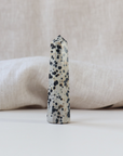 Dalmatian Jasper Polished Point (45g)