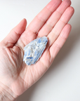 Mini Kyanite Raw Crystal (31g)