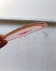 Pink Agate Slice - Love & Emotional Balance