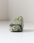 Rainforest Jasper Tumble 67g - Growth & Connection