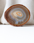 Brown Agate Slice with Subtle Blue Hues (290g)