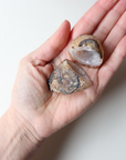 Agate Geode (78g)