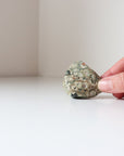 Rainforest Jasper Tumble 49g - Growth & Connection