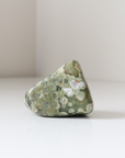 Rainforest Jasper Tumble 67g - Growth & Connection
