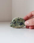 Rainforest Jasper Tumble 69g - Growth & Connection
