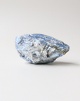 Mini Kyanite Raw Crystal (69g) - Alignment & Clarity