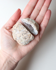 Agate Geode (79g)