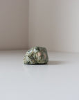 Rainforest Jasper Tumble 78g - Growth & Connection