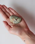 Rainforest Jasper Tumble 55g - Growth & Connection