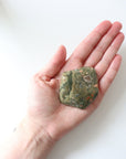 Rainforest Jasper Tumble 67g Flat Shape - Growth & Connection