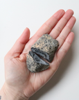 Agate Geode (63g) - Balance & Stability