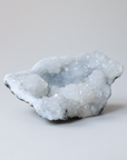 Druzy Quartz with Apophyllite Crystal