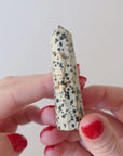 Dalmatian Jasper Polished Point (30g)