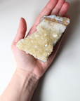 Citrine Cluster 395g