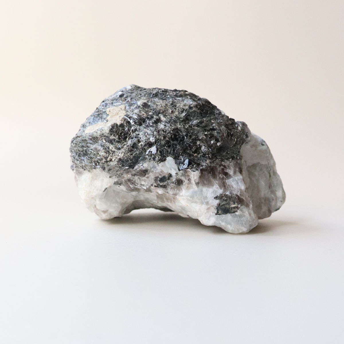 Collection Image