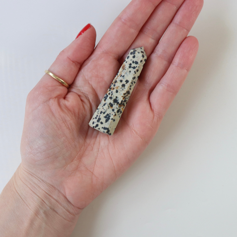 Dalmatian Jasper Polished Point  (30g)