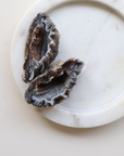 Agate Geode (45g) - Balance & Stability