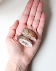 Warm Toned Agate Geode (43g)