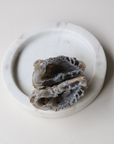 Agate Geode (65g) - Balance & Stability