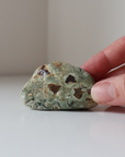 Rainforest Jasper Tumble 55g - Growth & Connection
