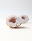 Earthy Toned Agate Geode (95g) - Balance & Stability