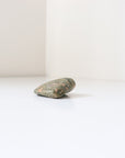 Rainforest Jasper Tumble 67g Flat Shape - Growth & Connection