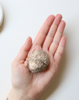Agate Geode (57g) - Balance & Stability