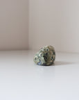Rainforest Jasper Tumble 69g - Growth & Connection