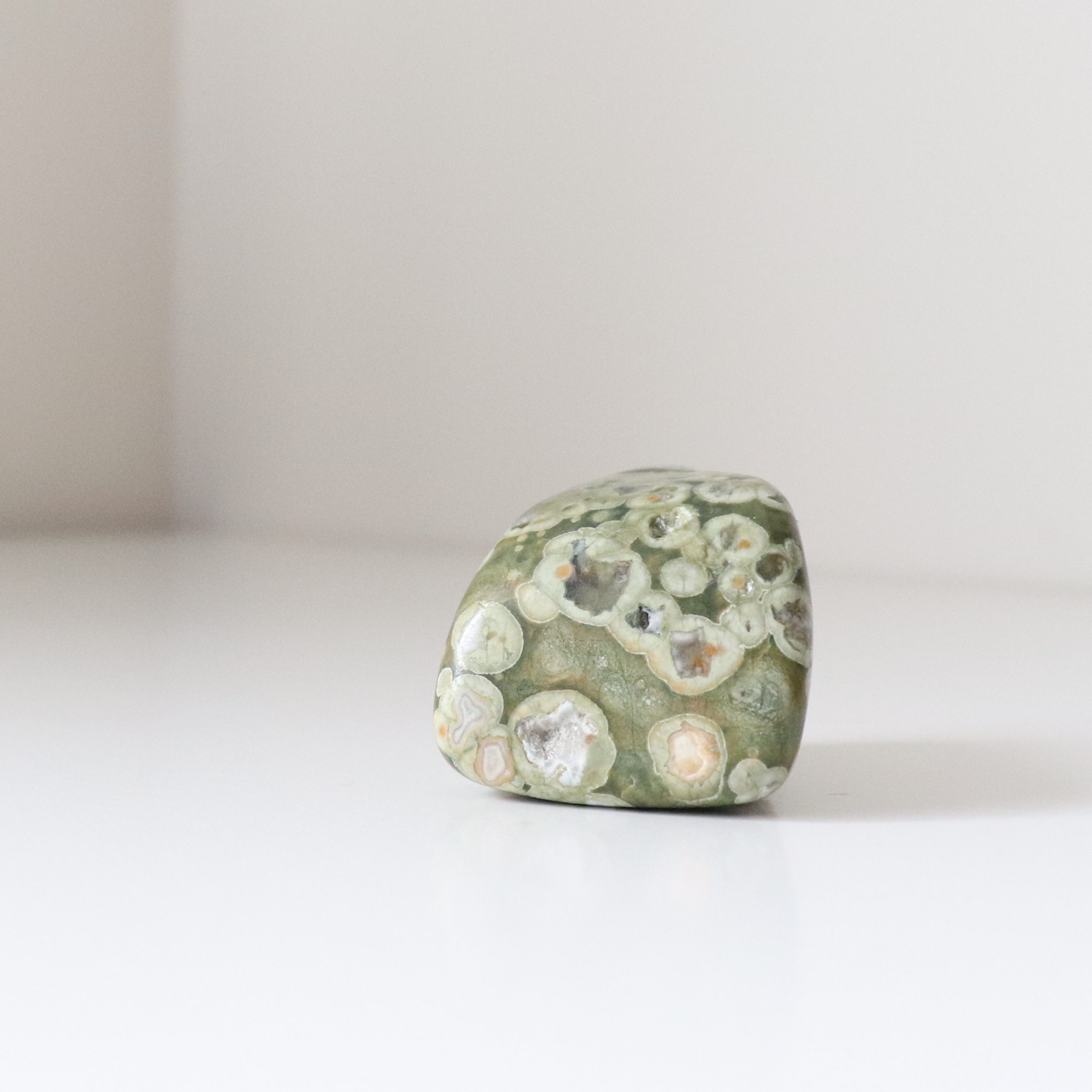 Rainforest Jasper Tumble 67g - Growth &amp; Connection