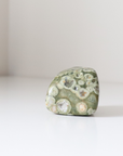 Rainforest Jasper Tumble 67g - Growth & Connection