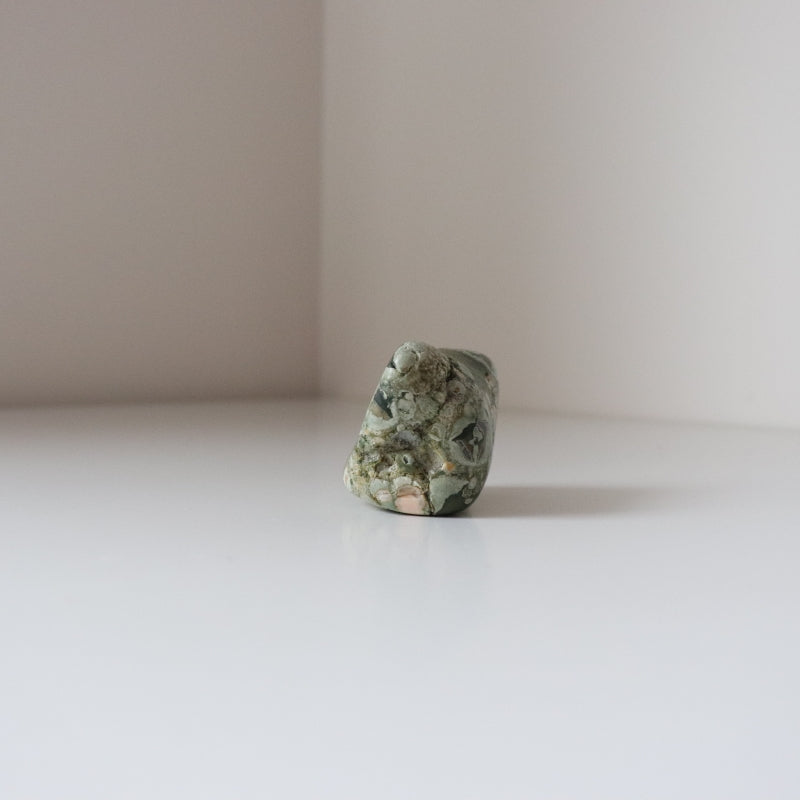 Rainforest Jasper Tumble 78g - Growth &amp; Connection