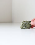Rainforest Jasper Tumble 67g - Growth & Connection