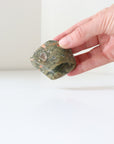 Rainforest Jasper Tumble 67g Flat Shape - Growth & Connection