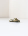 Rainforest Jasper Tumble 67g Flat Shape - Growth & Connection