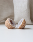 Earthy Toned Agate Geode (95g)