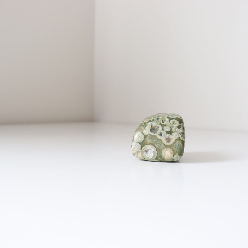 Rainforest Jasper Tumble 67g - Growth &amp; Connection